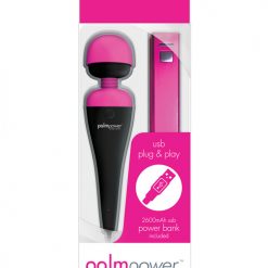 Palm Power Plug & Play