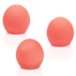 We-vibe Bloom Coral Accessories Kit