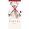 Sinful Hogtie