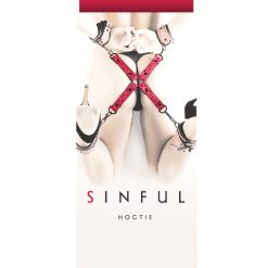 Sinful Hogtie
