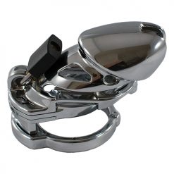 Locked In Lust The Vice Standard