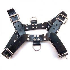 Rouge Over The Head Harness